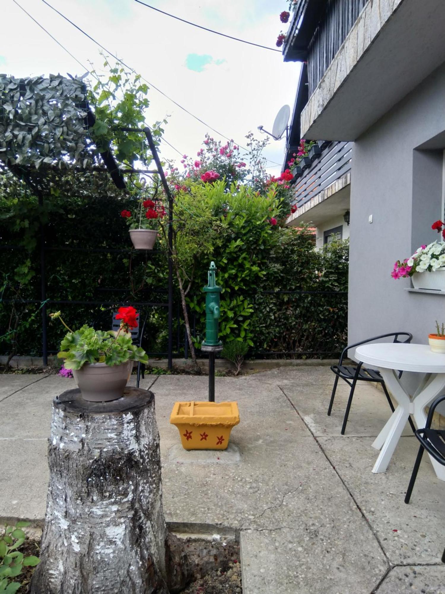 Apartament Pepa Zg *